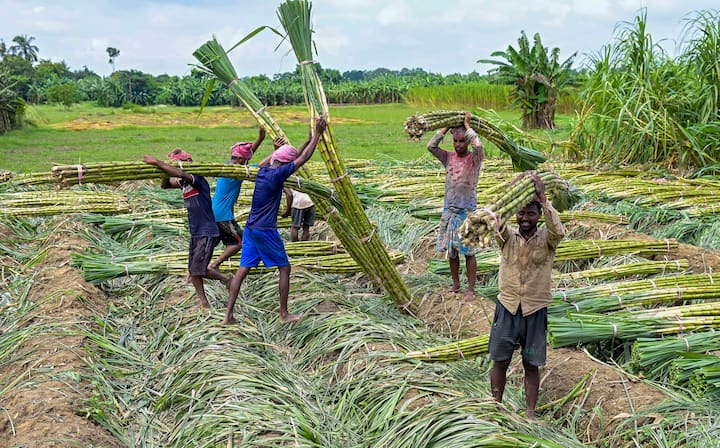 আবার হাসছে আকাশ। আবহাওয়া দফতর জানাচ্ছে, যে নিম্নচাপটির প্রভাবে বৃষ্টি হচ্ছিল সেটি এখন সরে গিয়েছে বাংলাদেশের । প্রতিবেশী দেশের মাঝামাঝি অবস্থান করছে নিম্নচাপটি।