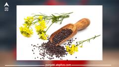 Health Care News: ਇਹ ਛੋਟੇ-ਛੋਟੇ ਦਾਣੇ ਤੁਹਾਡੀ ਸਿਹਤ ਲਈ ਵੀ ਬਹੁਤ ਫਾਇਦੇਮੰਦ...ਆਓ ਜਾਂਦੇ ਹਾਂ ਇਸ ਬਾਰੇ