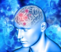 Health News: ਕੀ ਹੈ ਦਿਮਾਗ ਨਾਲ ਜੁੜੀ ਬਿਮਾਰੀ 'ਮੈਨਿਨਜਾਈਟਿਸ' ...ਆਓ ਜਾਣਦੇ ਹਾਂ ਇਸਦੇ ਲੱਛਣ ਅਤੇ ਬਚਾਅ