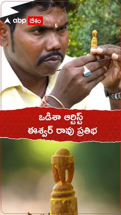 పసుపుకొమ్ముపై మినీ వరల్డ్ కప్