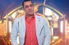 Bigg Boss 17 में होगी Salman Khan की हीरोइन की एंट्री! टॉपलेस फोटोशूट से मचाया था बवाल, खूब विवादों में रहीं ये एक्ट्रेस
