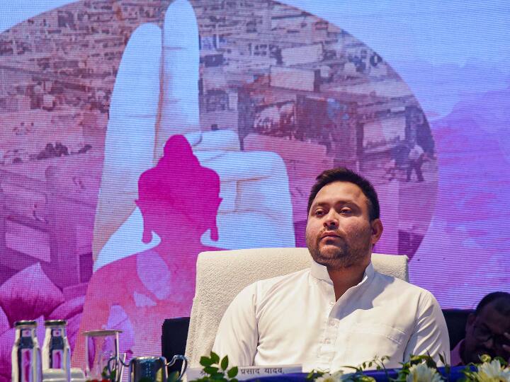 Bihar Caste Survey Deputy CM Tejashwi Everything Clear on Controversy over Number of Yadav Survey Bihar Caste Survey: सर्वे में यादवों की संख्या को लेकर छिड़े विवाद पर तेजस्वी ने किया सबकुछ क्लियर, CM नीतीश की जाति पर कही ये बात