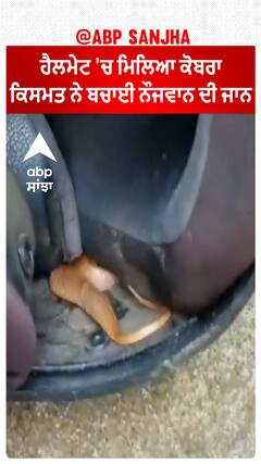 Helmet 'ਚ ਮਿਲਿਆ Cobra, ਕਿਸਮਤ ਨੇ ਬਚਾਈ ਨੌਜਵਾਨ ਦੀ ਜਾਨ