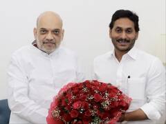 Andhra CM Jagan Reddy Meets Amit Shah In Delhi, Discusses Irrigation Project, Dues Of Discom