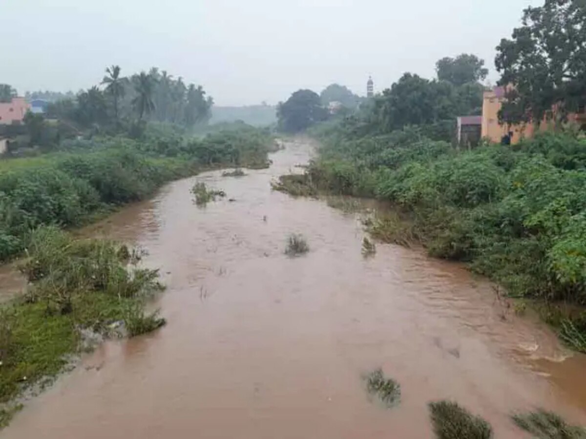 திருவண்ணாமலை மாவட்டத்தில் தொடர் மழை... முழு கொள்ளவை எட்டிய 70 ஏரிகள்