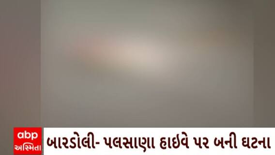 Surat News : સુરતના બારડોલી - પલસાણા હાઈવે અકસ્માતમાં દીપડાનું મોત