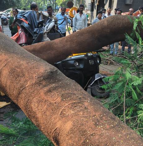 या अपघातात रिक्षाचालकासह चौघे जखमी झाले.