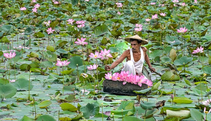 দক্ষিণবঙ্গের জন্য আশার কথা শোনাল আলিপুর আবহাওয়া দফতর। শনিবার রাজ্যে হাওয়া বদল হবে।