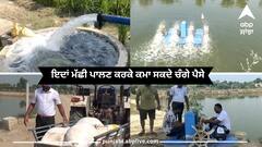 Punjab news: ਕਿਸਾਨ ਸੁਖਪਾਲ ਸਿੰਘ ਨੇ ਮੱਛੀ ਪਾਲਣ ਦਾ ਕੰਮ ਕੀਤਾ ਸ਼ੁਰੂ, ਹੋ ਰਿਹਾ ਚੰਗਾ ਮੁਨਾਫਾ, ਜਾਣੋ ਕਿਵੇਂ ਕਰ ਸਕਦੇ ਚੰਗੀ ਕਮਾਈ, ਦੱਸਿਆ ਤਰੀਕਾ