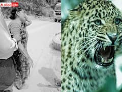 ఒంటరి మహిళపై చిరుత దాడి, ఎర్రగుంటపల్లె సమీపంలోని క్వారీ వద్ద కలకలం