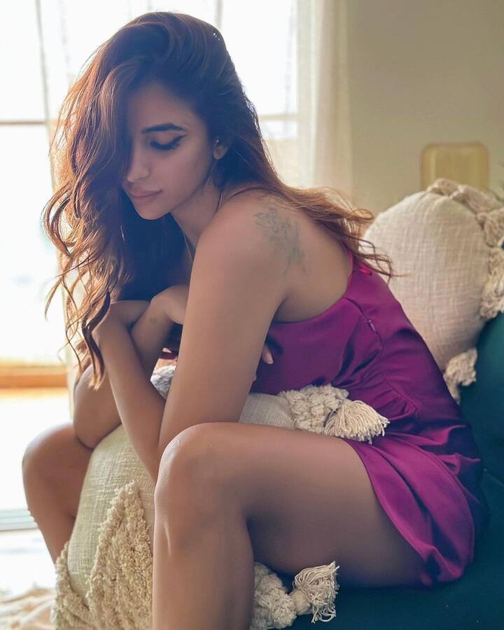 અભિનેત્રીએ પોતાના ઈન્સ્ટાગ્રામ પર શાનદાર વનપીસમાં ખૂબ જ હોટ પોઝ આપ્યા છે.