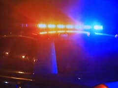 महाराष्ट्र के ठाणे में चौकीदार ने कुत्ते के साथ किया अप्राकृतिक यौनाचार, केस दर्ज