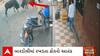 Surat News : સુરતના બારડોલીમાં રખડતા ઢોરએ મચાવ્યો આતંક