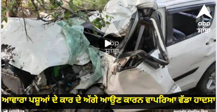 Car Collides With Tree In Sirhind Patiala Road Fatehgarh Sahib Son Dead Father Injured Fatehgarh Sahib : ਆਵਾਰਾ ਪਸ਼ੂਆਂ ਦੇ ਕਾਰ ਦੇ ਅੱਗੇ ਆਉਣ ਕਾਰਨ ਵਾਪਰਿਆ ਵੱਡਾ ਹਾਦਸਾ, ਪੁੱਤ ਦੀ ਮੌਤ, ਪਿਤਾ ਜ਼ਖ਼ਮੀ