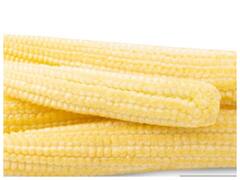 स्वाद के साथ-साथ कई बीमारियों से लड़ने में मदद करता है बेबी कॉर्न