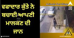 Viral Video: ਭਿਆਨਕ ਹਾਦਸੇ ਦਾ ਸ਼ਿਕਾਰ ਹੋਣ ਜਾ ਰਹੀ ਔਰਤ, ਵਫਾਦਾਰ ਕੁੱਤੇ ਨੇ ਬਚਾਈ ਆਪਣੀ ਮਾਲਕਣ ਦੀ ਜਾਨ, ਦੇਖੋ ਵੀਡੀਓ