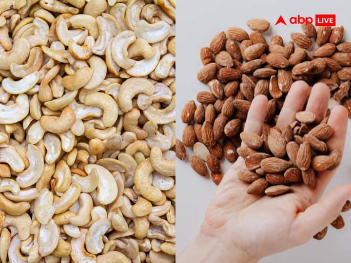 Cashew-almond is not the most expensive dry fruit in the world pine nuts makes a man strong. काजू-बादाम नहीं... ये है दुनिया का सबसे महंगा ड्राई फ्रूट! सिर्फ एक-दो पीस से होता है काफी फायदा