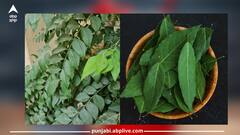 Health News: ਆਓ ਜਾਣਦੇ ਹਾਂ ਸਵੇਰੇ ਖਾਲੀ ਪੇਟ ਕੜ੍ਹੀ ਪੱਤੇ ਦਾ ਪਾਣੀ ਪੀਣ ਨਾਲ ਸਰੀਰ ਨੂੰ ਮਿਲਣ ਵਾਲੇ ਫਾਇਦਿਆਂ ਬਾਰੇ