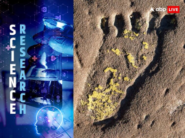 First Humans Came To North America Thousands Of Years Earlier Than Previously Thought Oldest Footprints Confirm ABPP First Humans Came To North America Thousands Of Years Earlier Than Previously Thought, Oldest Footprints Confirm