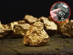 इस मशीन से पता चलता है जमीन में कहां दबा है सोना, जानिए कितने रुपये की आती है