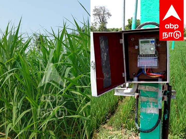 விழுப்புரம்: சூரியசக்தி மூலம் இயங்கும் மோட்டார் பம்பு செட்டுகளுக்கு விவசாய மின் இணைப்பு பெற பதிவு செய்யலாம் Villupuram You can register for agricultural electricity connection for solar powered motor pump sets TNN விழுப்புரம்: சூரியசக்தி மூலம் இயங்கும் மோட்டார் பம்பு செட்டுகளுக்கு விவசாய மின் இணைப்பு பெற பதிவு செய்யலாம்