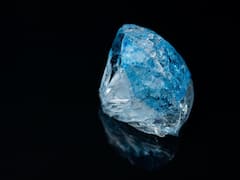 ये हैं दुनिया के सबसे महंगे डायमंड, कीमत सुन कर उड़ जाएंगे होश