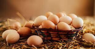 Egg Price:  ਇਸ ਦੇਸ਼ ਵਿੱਚ ਆਂਡਾ ਸਭ ਤੋਂ ਮਹਿੰਗਾ, ਕੀਮਤ ਸੁਣ ਕੇ ਤੁਸੀਂ ਵੀ ਹੋ ਜਾਓਗੇ ਹੈਰਾਨ