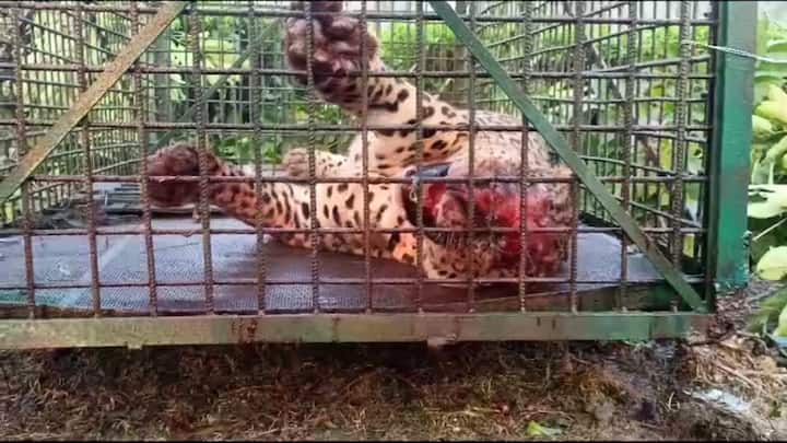 আশঙ্কাজনক অবস্থায় উত্তরবঙ্গ মেডিক্যাল কলেজ হাসপাতালে নিয়ে যাওয়ার সময় মৃত্যু হয় ওই নাবালকের।