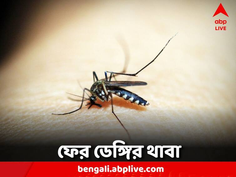 Murshidabad News again Dengue Death in Suti Dengue Death: ফের মুর্শিদাবাদে ডেঙ্গি আক্রান্তের মৃত্যু