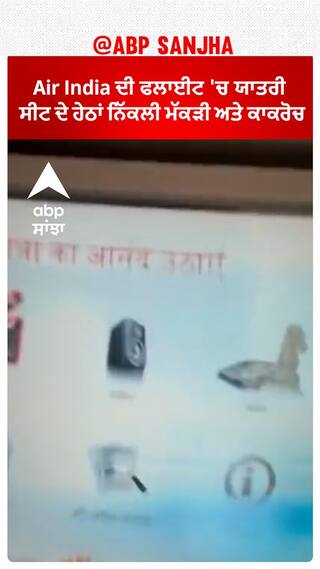 Air India flight। Air India ਦੀ ਫਲਾਈਟ 'ਚ ਯਾਤਰੀ ਸੀਟ ਦੇ ਹੇਠਾਂ ਨਿੱਕਲੀ ਮੱਕੜੀ ਅਤੇ ਕਾਕਰੋਚ