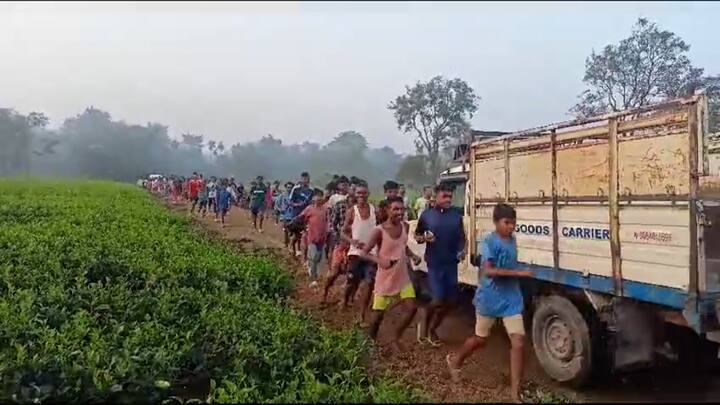 সোমবার সকালে খাচাবন্দি ক্রুদ্ধ চিতার হুঙ্কারেই ঘুম ভাঙে তাসাটি চা বাগানের ঘাসি লাইনের বাসিন্দা চা শ্রমিকদের।  সোমবার সকালে বনদপ্তরের পাতা খাচায় দ্বিতীয় চিতাবাঘ বন্দি হওয়ায় অনেকটাই স্বস্তি চা বলয়ে।