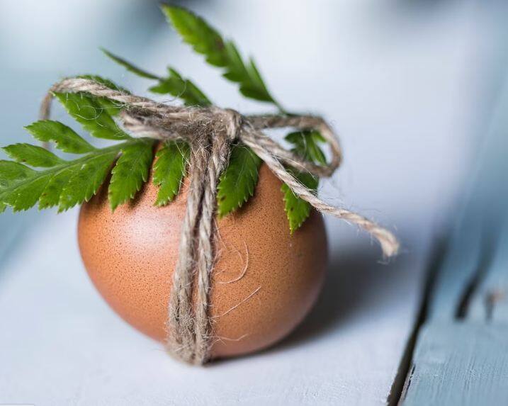 Egg Price:  ਆਮ ਤੌਰ 'ਤੇ ਹਰ ਦੇਸ਼ ਵਿੱਚ ਅੰਡੇ ਦੀ ਖਪਤ ਹੁੰਦੀ ਹੈ, ਵੱਖ-ਵੱਖ ਦੇਸ਼ਾਂ ਵਿੱਚ ਆਂਡੇ ਦੀ ਕੀਮਤ ਵੀ ਵੱਖ-ਵੱਖ ਹੁੰਦੀ ਹੈ। ਪਰ ਇੱਥੇ ਅਸੀਂ ਇੱਕ ਅਜਿਹੇ ਦੇਸ਼ ਦੀ ਗੱਲ ਕਰਾਂਗੇ ਜਿੱਥੇ ਆਂਡੇ ਦੀ ਕੀਮਤ ਸੁਣ ਕੇ ਤੁਸੀਂ ਹੈਰਾਨ ਰਹਿ ਜਾਓਗੇ। ਕੁਝ ਦੇਸ਼ਾਂ ਵਿੱਚ ਆਂਡੇ ਦੀ ਕੀਮਤ ਆਮ ਆਦਮੀ ਦੀ ਪਹੁੰਚ ਤੋਂ ਬਾਹਰ ਹੈ। ਇੱਥੇ ਸਵਾਲ ਇਹ ਹੈ ਕਿ ਉਹ ਕਿਹੜੇ ਦੇਸ਼ ਹਨ ਜਿੱਥੇ ਅੰਡੇ ਕੀਮਤੀ ਹਨ ਅਤੇ ਉਹ ਕਿਹੜੇ ਦੇਸ਼ ਹਨ ਜਿੱਥੇ ਆਮ ਆਦਮੀ ਨੂੰ ਵੀ ਘੱਟ ਕੀਮਤ 'ਤੇ ਆਂਡੇ ਮਿਲ ਸਕਦੇ ਹਨ।