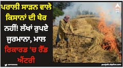 Amritsar News: ਪਰਾਲੀ ਸਾੜਨ ਵਾਲੇ ਕਿਸਾਨਾਂ ਦੀ ਖੈਰ ਨਹੀਂ! ਲੱਖਾਂ ਰੁਪਏ ਜੁਰਮਾਨਾ, ਮਾਲ ਰਿਕਾਰਡ 'ਚ ਰੈੱਡ ਐਂਟਰੀ