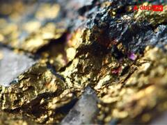 सोने की खदान अगर एक एकड़ बड़ी हो तो वहां कितना सोना निकल सकता है?