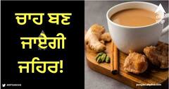 Health Care: ਭੁੱਲ ਕੇ ਵੀ ਨਾ ਕਰੋ ਇਹ ਕੰਮ, ਚਾਹ ਬਣ ਜਾਏਗੀ ਜਹਿਰ! ਸਰੀਰ ਨੂੰ ਹੋ ਸਕਦਾ ਵੱਡਾ ਨੁਕਸਾਨ