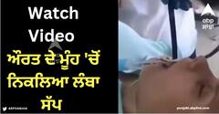 Viral Video: ਤਬੀਅਤ ਵਿਗੜਨ 'ਤੇ ਡਾਕਟਰ ਕੋਲ ਗਈ ਔਰਤ, ਆਪ੍ਰੇਸ਼ਨ ਦੌਰਾਨ ਮੂੰਹ 'ਚੋਂ ਨਿਕਲਿਆ ਲੰਬਾ ਸੱਪ, ਦੇਖੋ ਵੀਡੀਓ