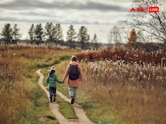 विश्व का सबसे शांतिपूर्ण देश कौन सा है? भारत का हाल सुन नहीं पाएंगे