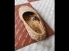 IFS Officer Shares Video Of Baby Cobra Found Hiding Inside A Shoe. Watch