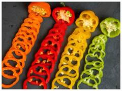 हिरवी, लाल, पिवळी, नारिंगी की काळी शिमला मिरची? तुमच्यासाठी जास्त कोणती फायदेशीर? जाणून घ्या