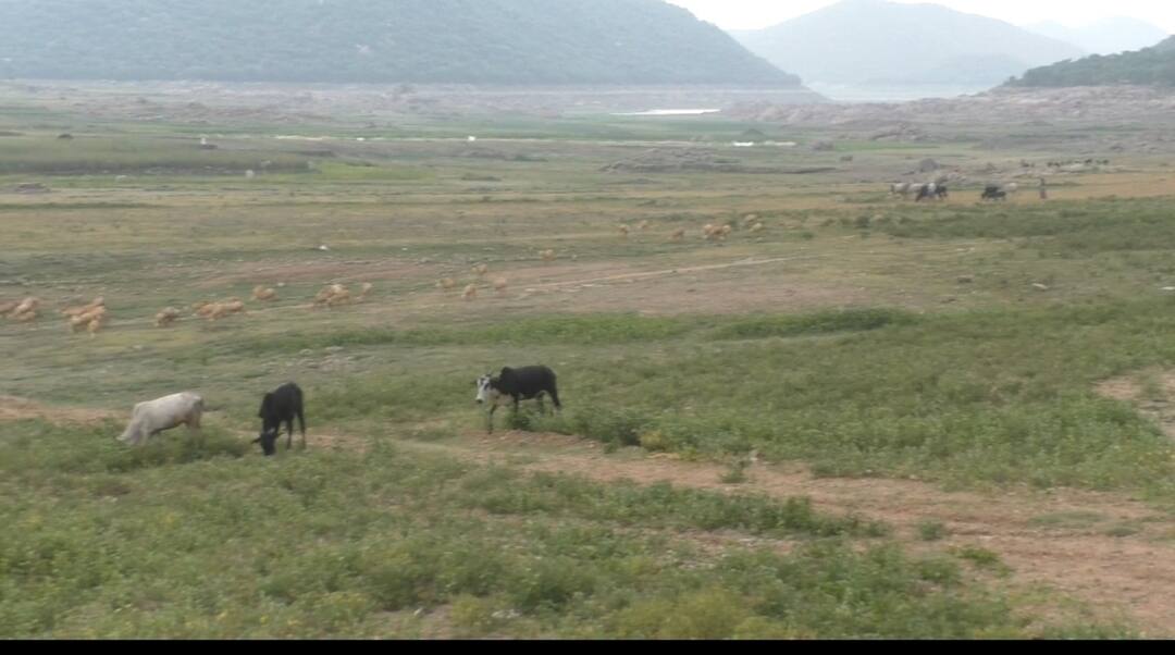 90 ஆண்டுகளாக விவசாயம்; தடுக்கும் வனத்துறை - புலம்பும் தருமபுரி விவசாயிகள்