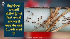 Get rid of ants in home: ਕਦੇ ਵੀ ਘਰ ਅੰਦਰ ਨਹੀਂ ਵੜਨਗੀਆਂ ਕੀੜੀਆਂ, ਬਸ ਚਾਰ ਸੌਖੇ ਤਰੀਕੇ ਅਪਣਾਓ