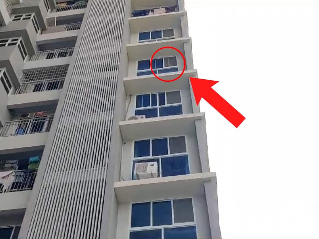 Virar : बेडरूमच्या खिडकीतून पडून चार वर्षाच्या मुलीचा मृत्यू; आई-वडील सावरले अन् डोळे दान करण्याचा धाडसी निर्णय virar accident four year old girl dies after falling from bedroom window news update Virar : बेडरूमच्या खिडकीतून पडून चार वर्षाच्या मुलीचा मृत्यू; आई-वडील सावरले अन् डोळे दान करण्याचा धाडसी निर्णय