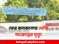 ফের ডেঙ্গিতে মৃত্যু কলকাতায়, প্রাণ হারাল দমদম পুরসভার বাসিন্দা