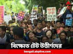 নিয়োগের দাবিতে প্ল্যাকার্ড হাতে পথে, বিক্ষোভ টেট উত্তীর্ণদের