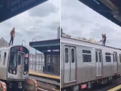 Man Standing On Roof Of Moving Train In New York Has Internet Concerned, Watch Viral Video