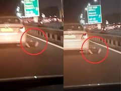 ఢిల్లీలో దారుణం, కారుతో ఢీకొట్టి రోడ్డుపై డ్రైవర్‌ని ఈడ్చుకెళ్లిన దొంగలు - బాధితుడి మృతి