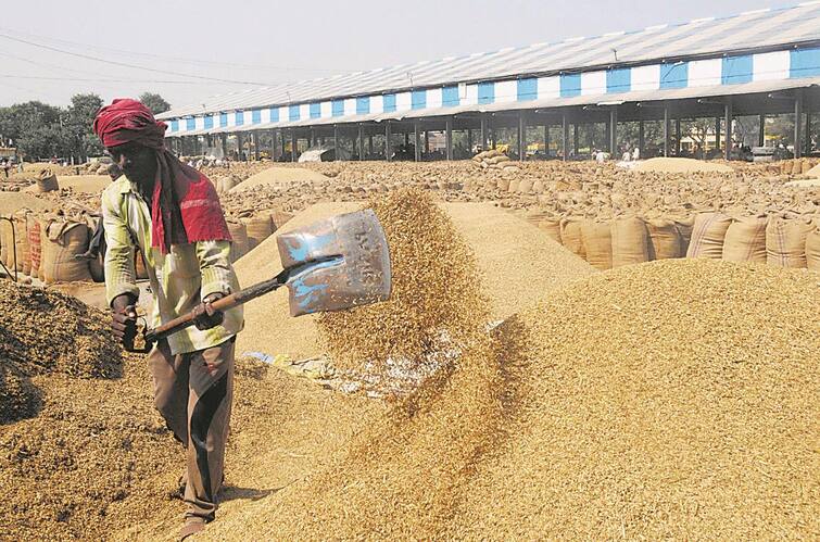 12 Lakh Mt Of Paddy Arrival Recorded In State, 11.17 Lakh Mt Procured Paddy: ਮੰਡੀਆਂ 'ਚ ਹੁਣ ਤੱਕ ਕਿੰਨਾ ਝੋਨਾ ਪਹੁੰਚਿਆ ਅਤੇ ਕਿੰਨੇ ਕਿਸਾਨਾਂ ਨੂੰ ਮਿਲਿਆ ਫਸਲ ਦਾ ਮੁੱਲ, ਸਰਕਾਰ ਨੇ ਅੰਕੜੇ ਕੀਤੇ ਜਾਰੀ 