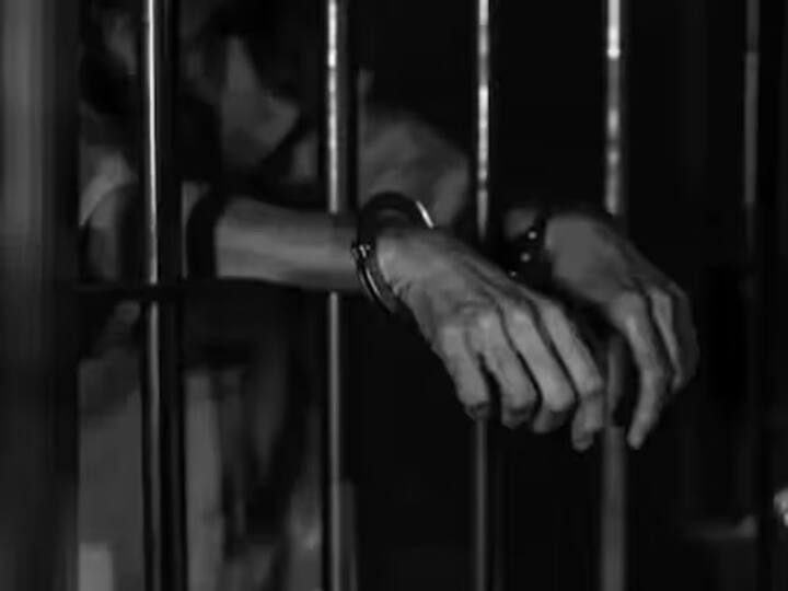 actor dalip tahil gets 2 months jail for drunk driving case Dalip Tahil: प्रसिद्ध बॉलिवूड अभिनेत्याला दोन महिन्यांचा तुरुंगवास; कोणत्या प्रकरणी ठोठावली शिक्षा?
