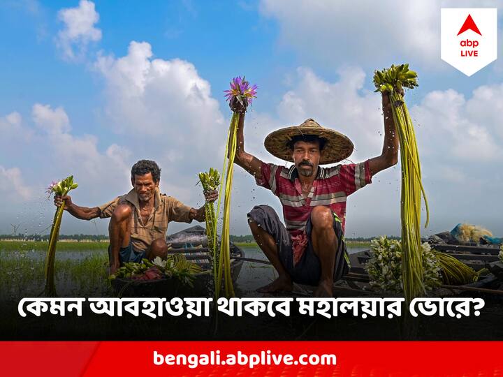 পুজোর কয়েকদিন ঝকঝকে আকাশ থাকবে কিনা, জানাল আবহাওয়া দফতর ?