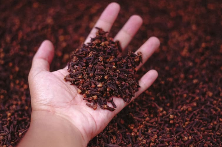 hair-care-tips-surprising-benefits-of-clove-for-your hair know in details Indian Spices: চুলের একাধিক সমস্যা দূর করে লবঙ্গ, কী কী উপকারে লাগে? দেখে নিন একনজরে